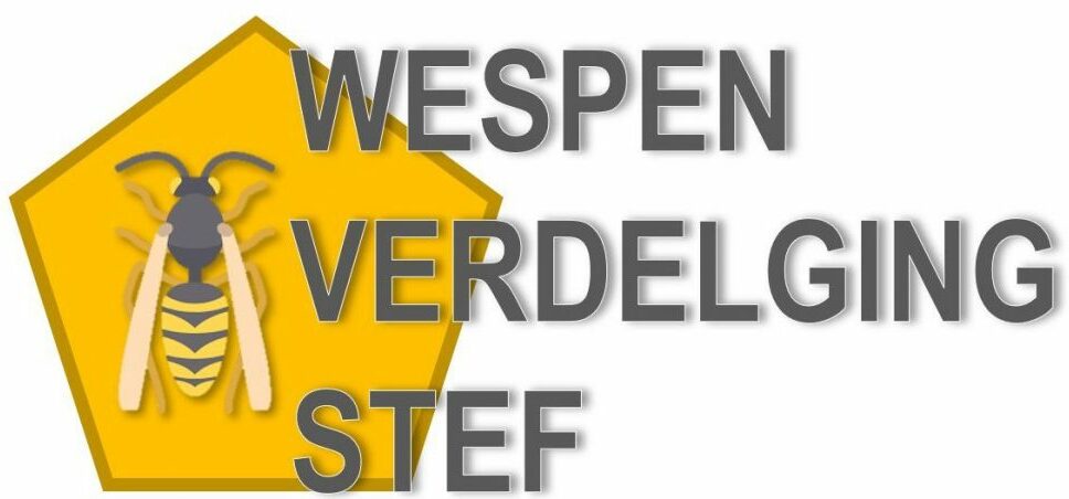 Wespen Verdelging Stef